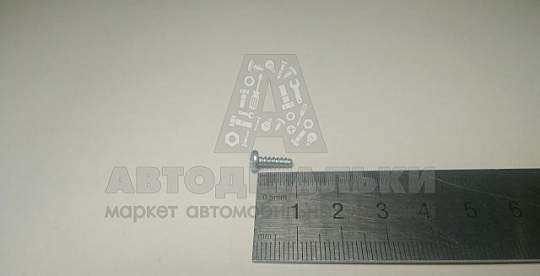 Саморез 2,9*9,5 цилиндр. крест. (БелЗАН) (артикул 00001-0076680-018)
