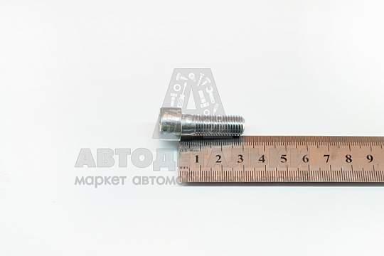 Винт М10*1,25*30 внутр. шестигран. (БелЗАН) (артикул 11180-3502112-008)