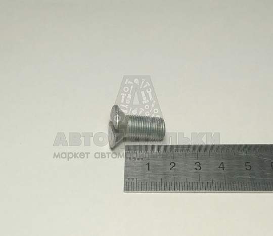 Винт М10*1*22 потай. шлиц петли двери Волга (артикул 221747-п29)