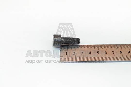 Винт М10*1,25*25 внутр. шестигран. (БелЗАН) (артикул 21045-1041124-008)