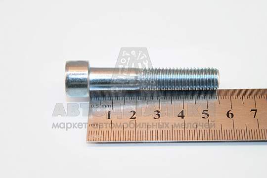 Винт М10*1,5*55 внутр. шестигран. (артикул DIN912-105588)