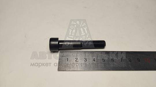 Винт М10*1,5*55 внутр. шестигран.(черный) (БелЗАН) (артикул 00001-7002286-308)