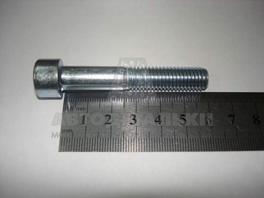 Винт М10*1,5*60 внутр. шестигран. (артикул 874411)
