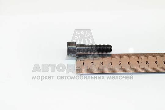 Винт М10*1,5*40 внутр. шестигран. (черный) (БелЗАН) (артикул 00001-7002286-008)