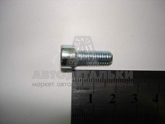 Винт М6*1*16 внутр. шестигран. бок. двери (артикул 2705-6426203)