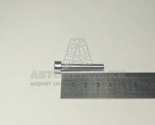 Винт М6*1*35 внутр. шестигран. стойки зеркала Газель (артикул 4599512863)