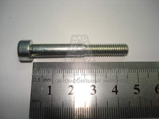 Винт М6*1*45 внутр. шестигран.(БелЗАН) (артикул 00001-7002283-108)