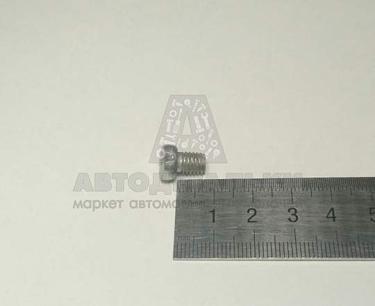 Винт М6*1*8 маслоотражателя 2101 (БелЗАН) (артикул 00001-0003763-018)
