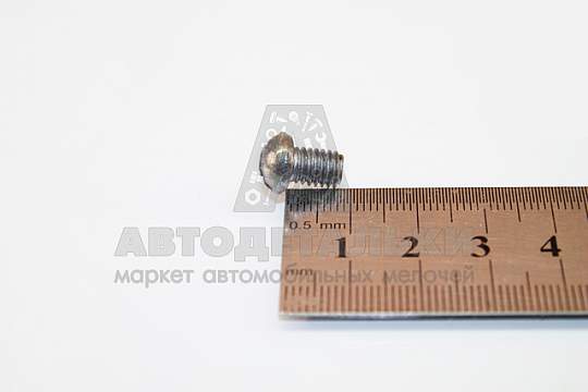 Винт М6*1*8 полукруг стеклоп.Волга (артикул 220101-п29)