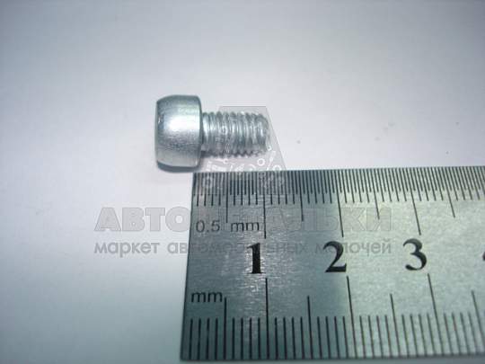Винт М6*1*9,5 внутр. шестигран. (БелЗАН) (артикул 21110-1144025-028)