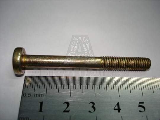 Винт М6*1*55 цилиндр. крест. поручня 2110 (БелЗАН) (артикул 00001-0032773-118)