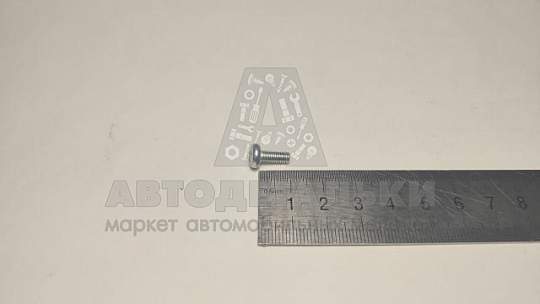 Винт М4*10 полукруг. крест. (артикул 220051-п29)