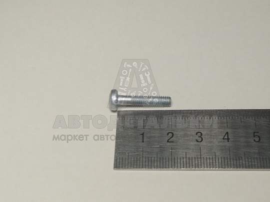 Винт М4*20 цилиндр. крест. (БелЗАН) (артикул 00001-0032724-018)