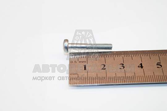Винт М4*25 цилиндр. крест. (БелЗАН) (артикул 00001-0032726-018)