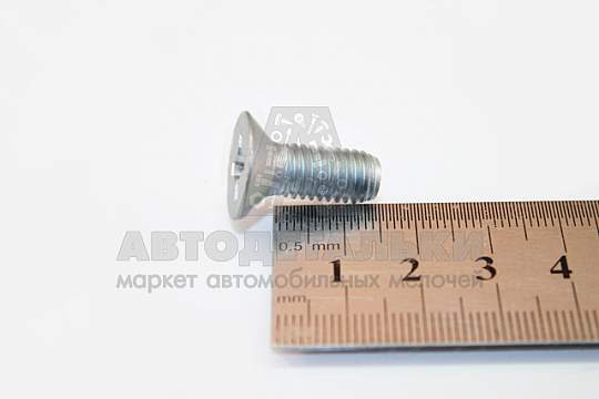 Винт М8*1,25*20 потай. крест. двери (БелЗАН) (артикул 00001-0033035-118)