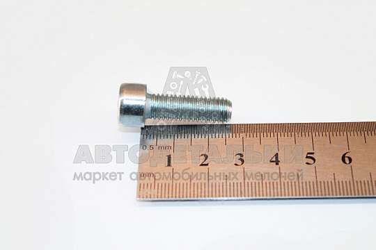 Винт М8*1,25*25 внутр. шестигран. (артикул DIN912-82588)