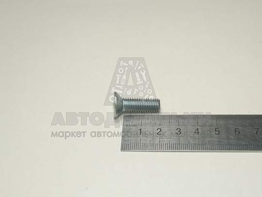 Винт М8*1,25*25 потай. шлиц. замка дверей бок. и зад. Газель (артикул 221666-п29)