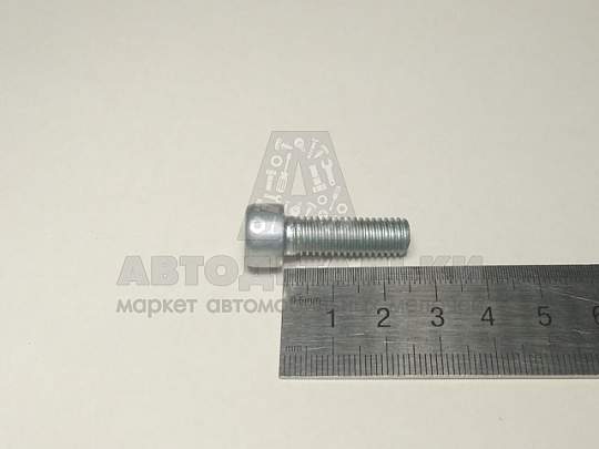 Винт М8*1,25*25 внутр. шестигран. (БелЗАН) (артикул 00356-7172200-009)