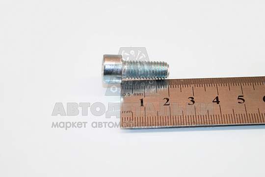 Винт М8*1,25*20 внутр. шестигран. (артикул DIN912-82088)