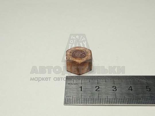 Гайка М10*1 коллектора омедн. высокая (артикул 250688-п5)