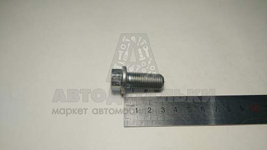 Пробка поддона Евро - 3 (Кр.Этна) (артикул 406-1009035-11)