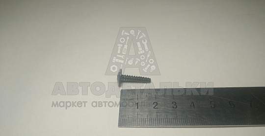 Саморез 3,6*19 прессшайба крест. обивки салона 2123 (БелЗАН) (артикул 21230-6302336-008)