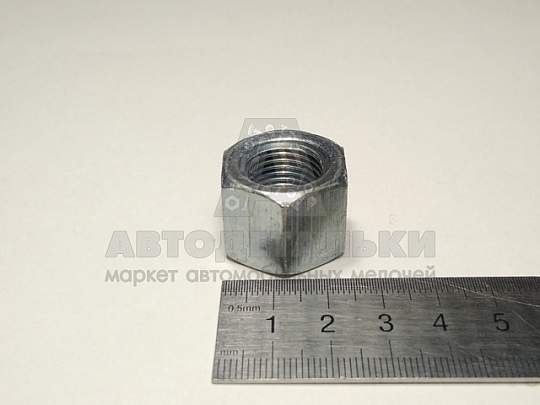 Гайка М16*1,5 (19, ключ 24) (Кр.Этна) (артикул 250691-п29)