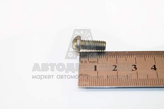 Винт М6*1*14 прессшайба звезда (8.8) (Кр.Этна) (артикул 10316031-71 п29)