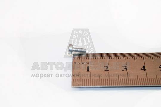 Винт М3*8 цилиндр. крест. (БелЗАН) (артикул 00001-0032704-118)