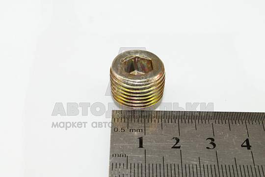 Пробка КГ 3/8" (БелЗАН) (артикул 00000-0870882-009)