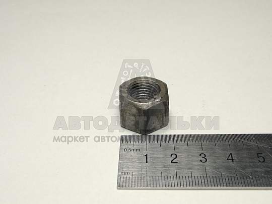 Гайка М12*1,25 головки блока высокая(Кр.Этна) (артикул 250689-п2)