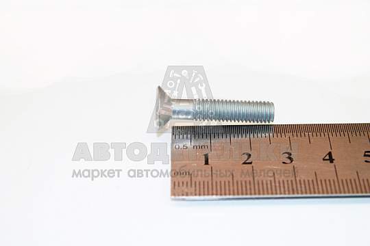 Винт М6*1*30 потай. крест. (БелЗАН) (артикул 00001-0033019-019)
