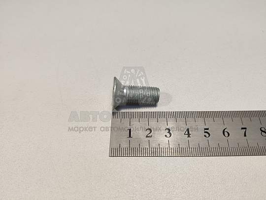 Винт М10*1,25*25 крепления тормозного барабана КАМАЗ-65115 (БелЗАН) (артикул 00000-0853352-009)