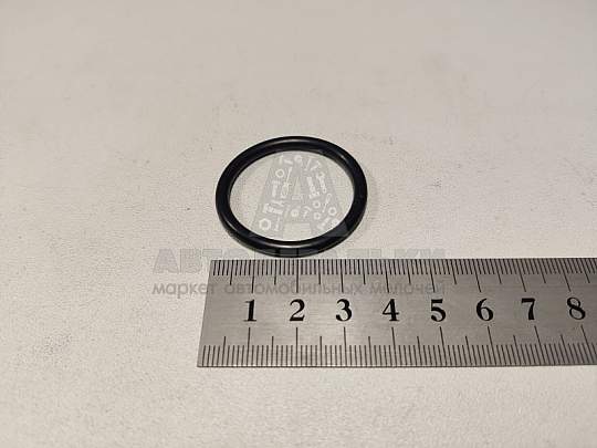 Кольцо уплотнительное шланга вентиляции картера 30*3,5 VAG (артикул N90466301)