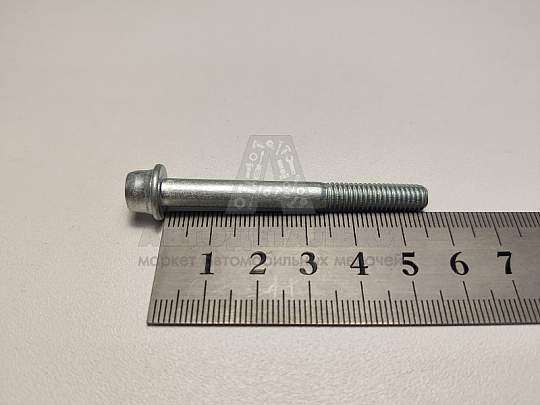 Винт М6*1*55 внутр. шестигран. дроссельного патрубка дв. ЗМЗ-40524/25 Евро 3 (БелЗАН) (артикул 40624-1148246-009)