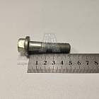 Болт М12*1,75*50 с фланцем EN1662 (10.9) (Кр.Этна) (артикул EN1662-1250-109-п29)