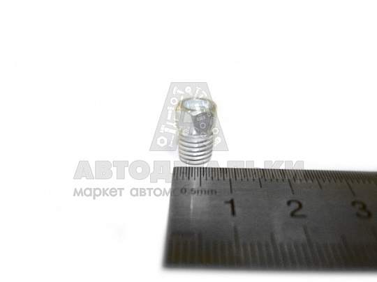 Пробка КГ 1/4" обоймы шаровой опоры 2101-07 (БелЗАН) (артикул 21010-2904069-008)