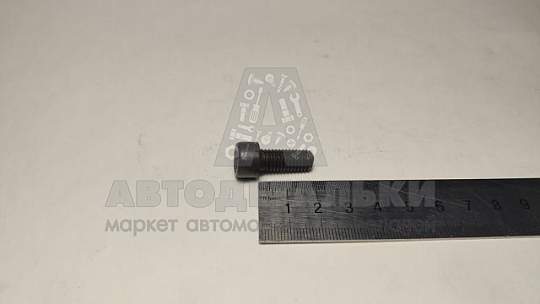 Винт М8*1,25*21 внутр. шестигран. клапана рециркуляции (БелЗАН) (артикул 21213-1217082-008)