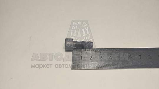 Винт М8*1,25*22 внутр. шестигран. 3306-09, 4301 ОРИГИНАЛ (артикул 4599512969)
