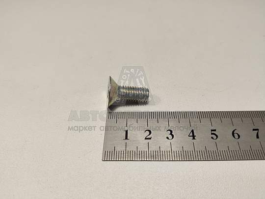 Винт М8*1,25*20 потай. крест. двери (РЗИ) (артикул 1/33035/11)