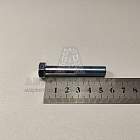 Болт М10*1*55 крепления балки Волга (8,8) (РЗИ) (артикул 291501-п29)